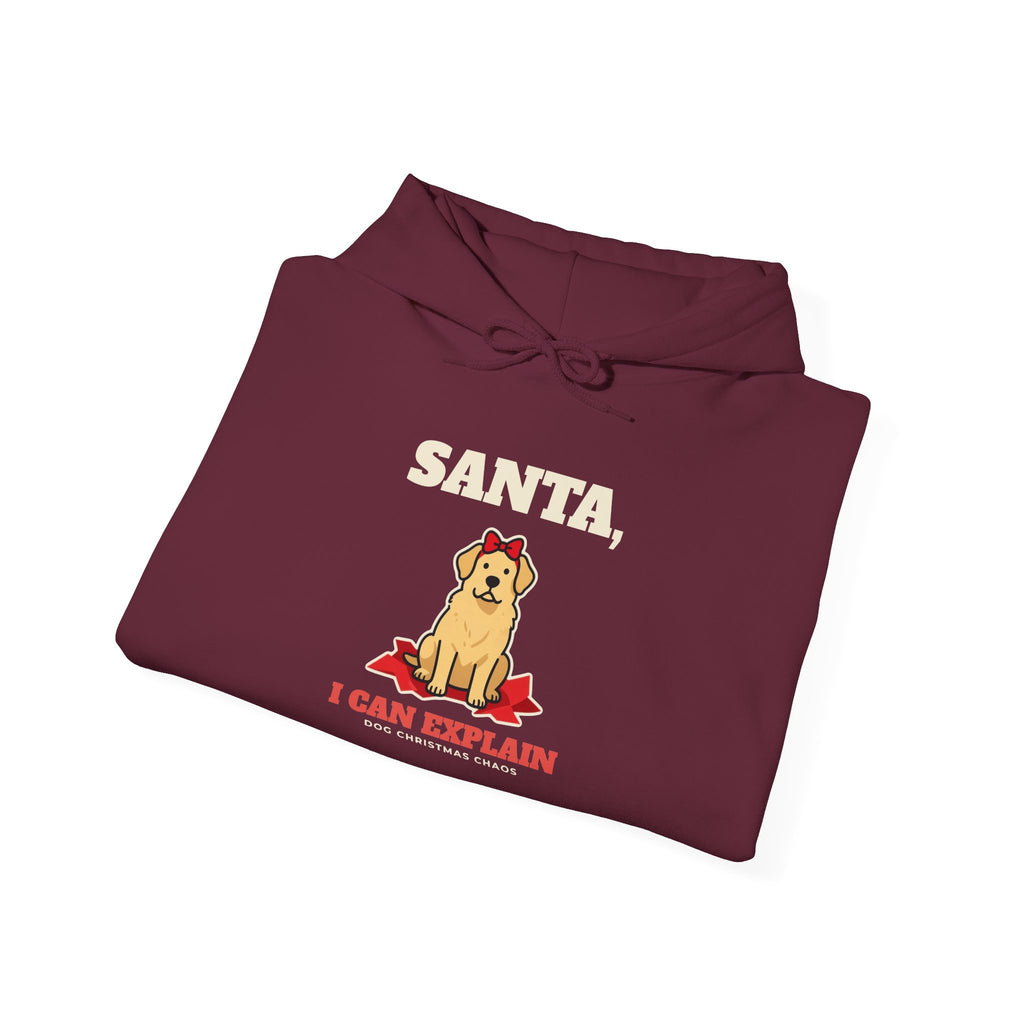 Santa, I Can Explain Dog Christmas Hoodie