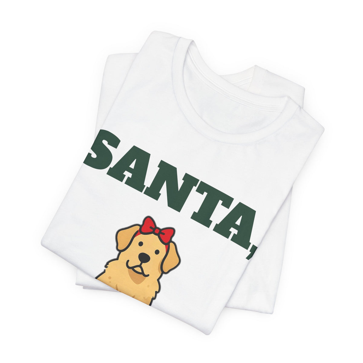 Funny Dog Christmas Shirt, Santa I Can Explain Dog Tee, Dog Mom Christmas Gift, Dog Dad Holiday T-Shirt, Naughty Dog Lover Gift