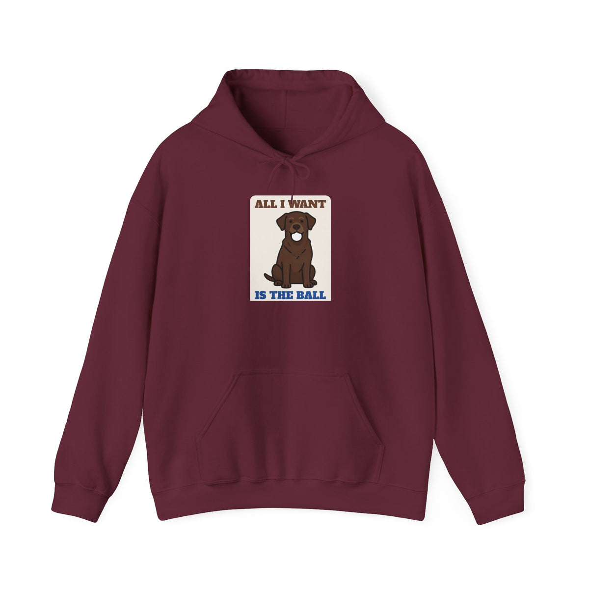 All I Want Is the Ball Labrador Hoodie | Labrador Gift