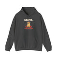 Santa, I Can Explain Dog Christmas Hoodie
