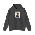 All I Want Is the Ball Labrador Hoodie | Labrador Gift