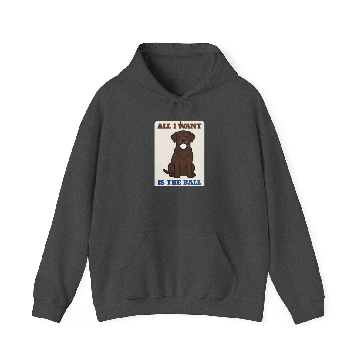 All I Want Is the Ball Labrador Hoodie | Labrador Gift