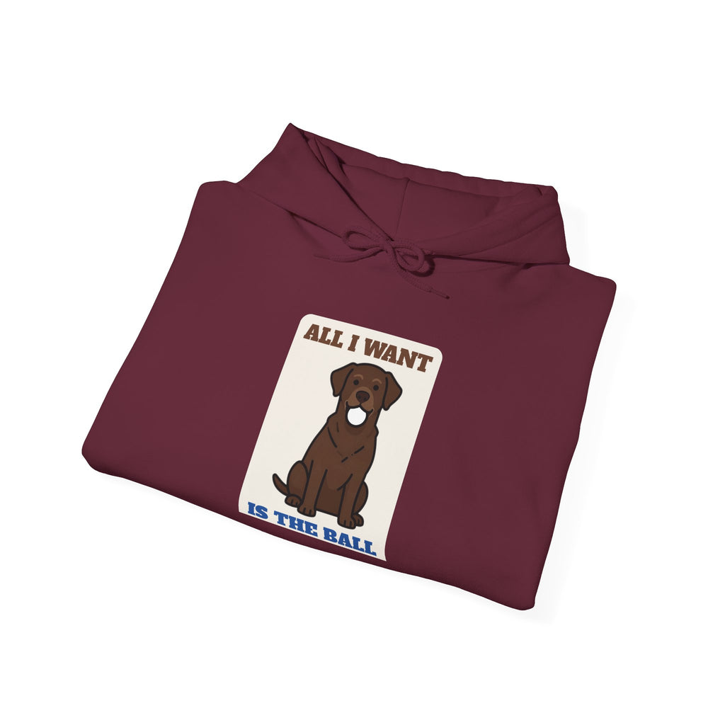 All I Want Is the Ball Labrador Hoodie | Labrador Gift