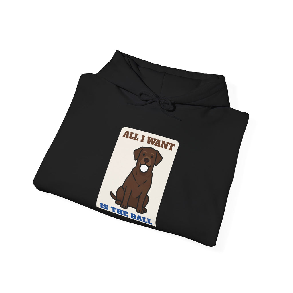 All I Want Is the Ball Labrador Hoodie | Labrador Gift
