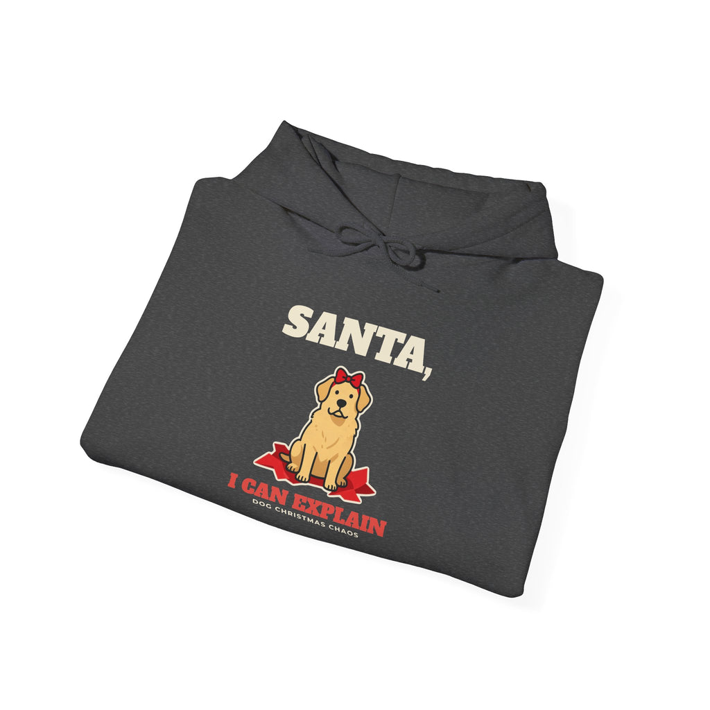 Santa, I Can Explain Dog Christmas Hoodie